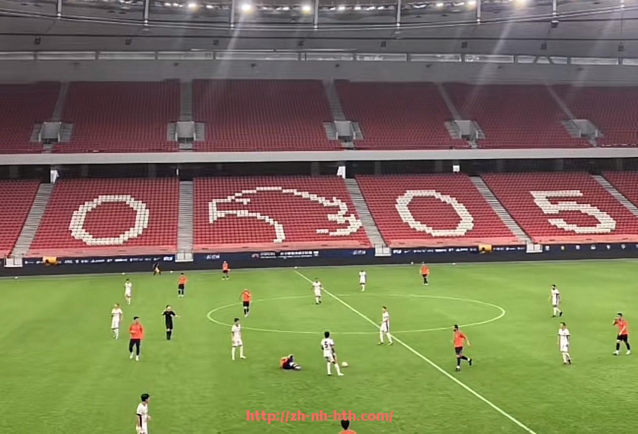 华体会hth登录入口-法甲里昂球迷情感倾向与忠诚度调查研究