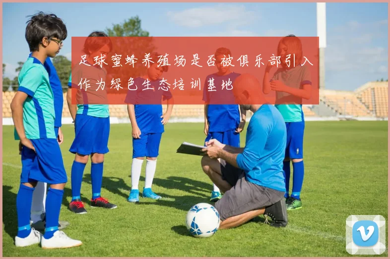 足球蜜蜂养殖场是否被俱乐部引入作为绿色生态培训基地