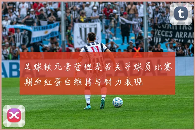 足球铁元素管理是否关乎球员比赛期血红蛋白维持与耐力表现